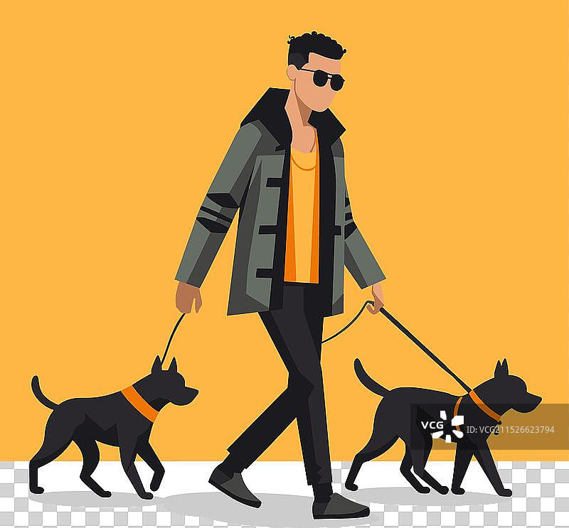 牵着两条黑狗的时尚男人图片素材