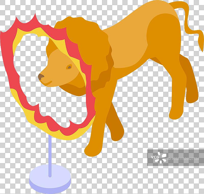 马戏团狮子跳过火圈图片素材