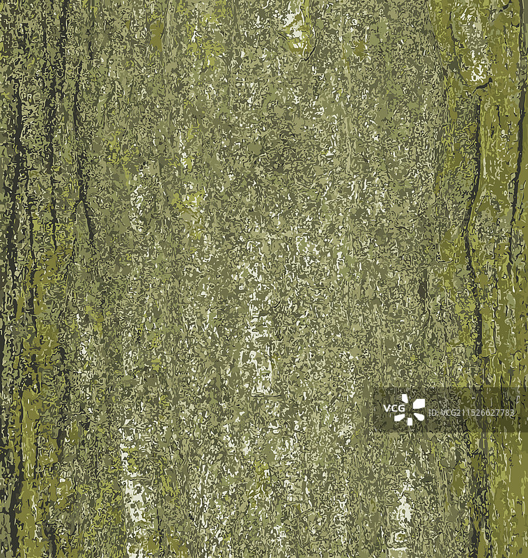 皂荚树皮纹理图片素材