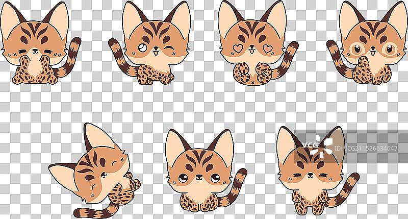 卡通孟加拉猫艺术合集图片素材