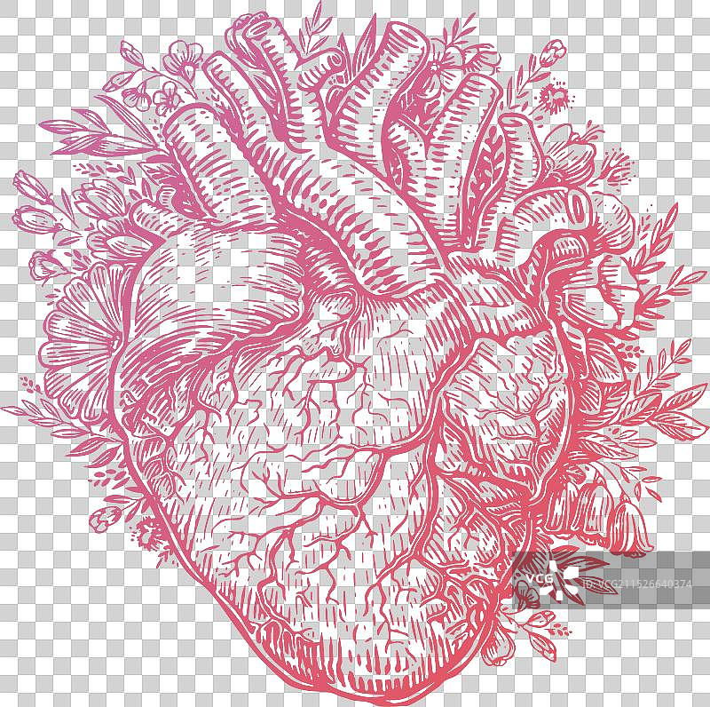 鲜花爱心情人节贺卡图片素材