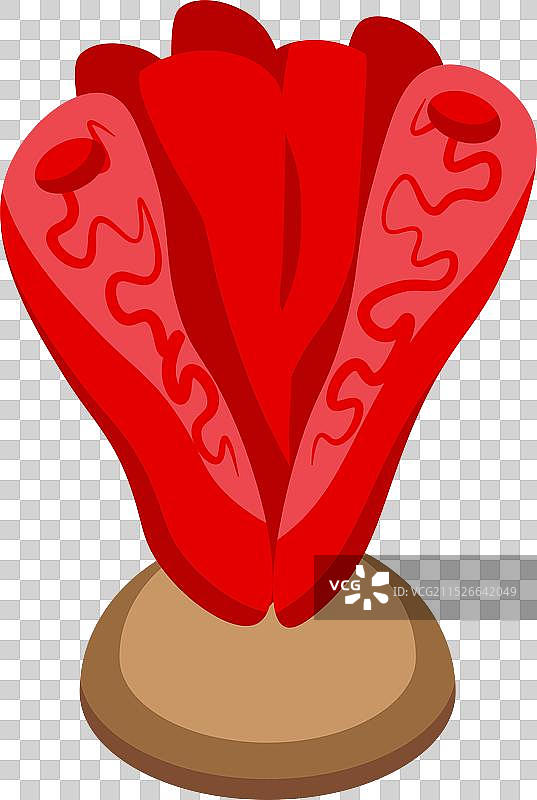 海底生长的红色海葵图片素材