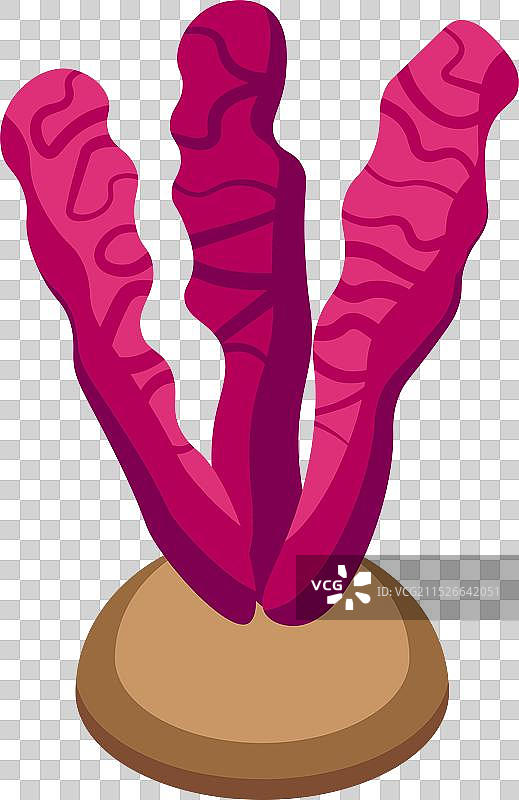 摇曳在海底的红色海藻图片素材