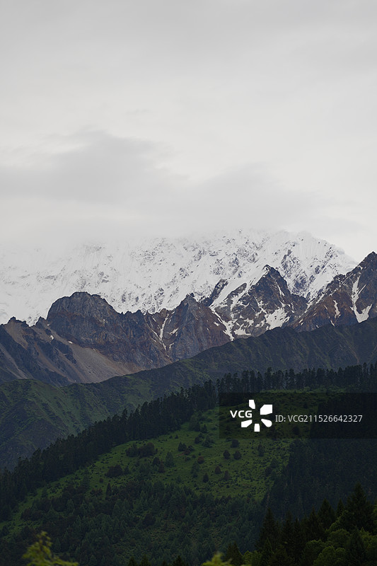 林芝 鲁朗图片素材
