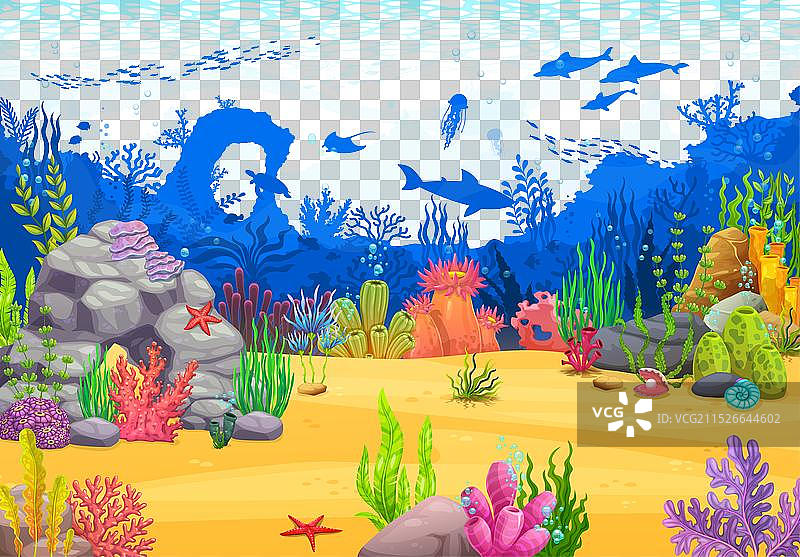 海底景观：鱼、海藻与动物图片素材