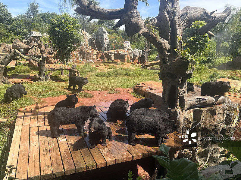 海口海南热带野生动植物园图片素材