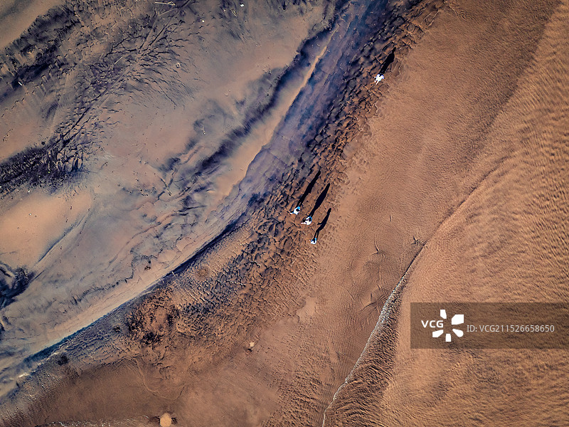 山东省梁山县俯瞰黄河河岸潮间带风景图片素材