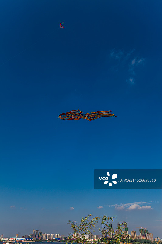 蓝天中漂浮的巨型彩色鱼形风筝图片素材