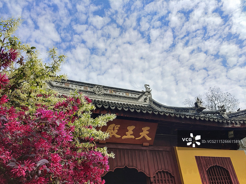春天的苏州定慧寺图片素材