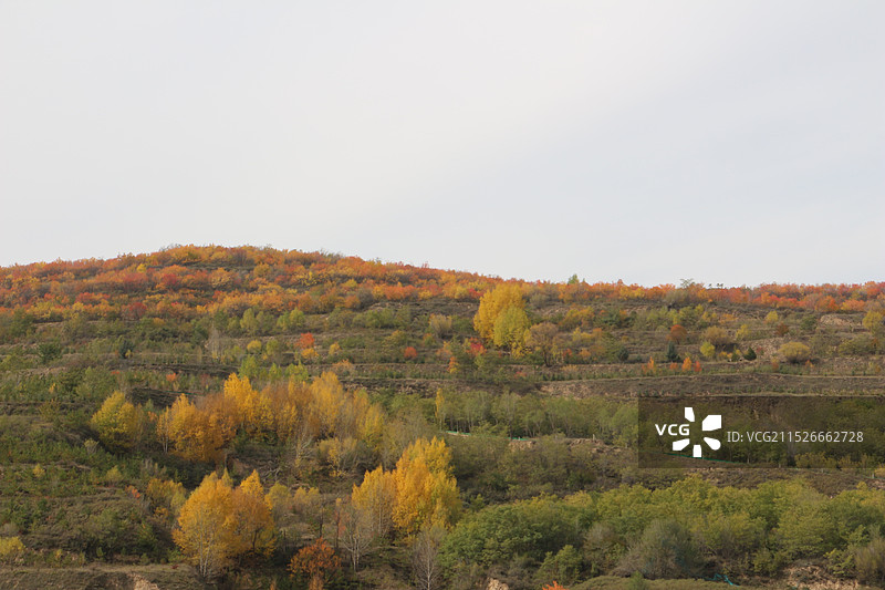 宁夏固原秋天航拍图片素材