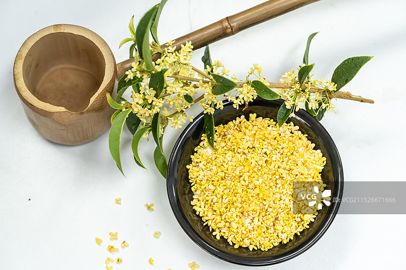 金秋十月桂花飘香金桂飘香图片素材