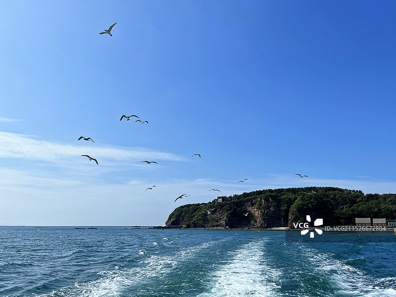 烟台鸡鸣岛海岛风光图片素材