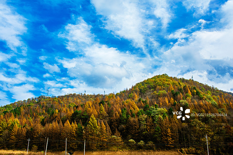 太白秋色图片素材