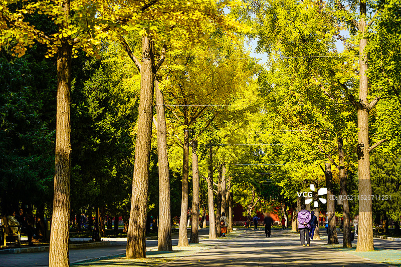 北京地坛秋景图片素材
