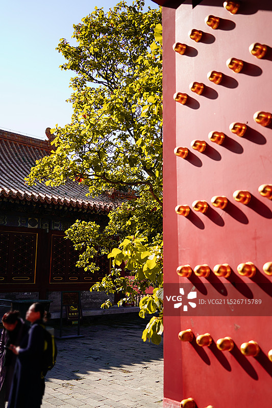 北京地坛公园秋景图片素材