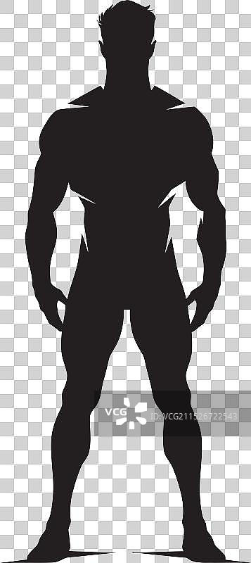 阴影中的坚定哨兵：缟玛瑙的秘密图片素材