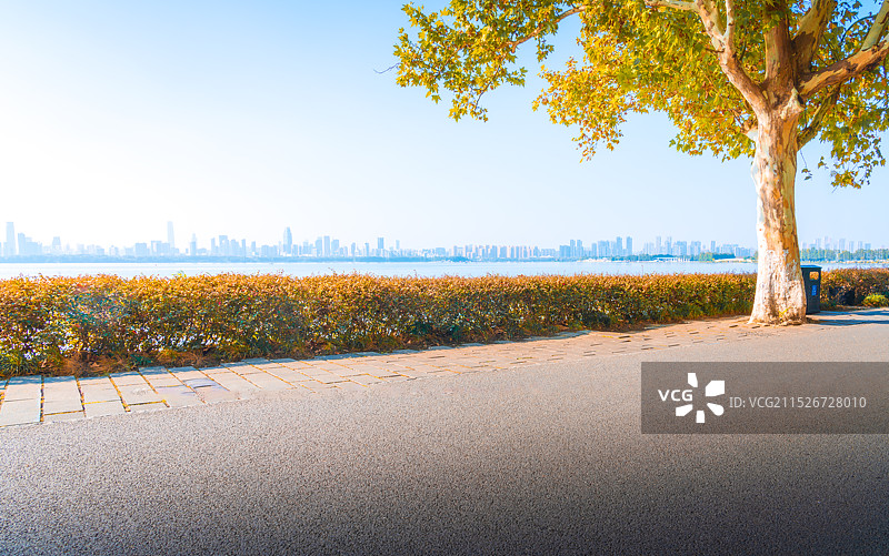 武汉东湖秋景湖边树木金黄路面绿道天空背景图片素材