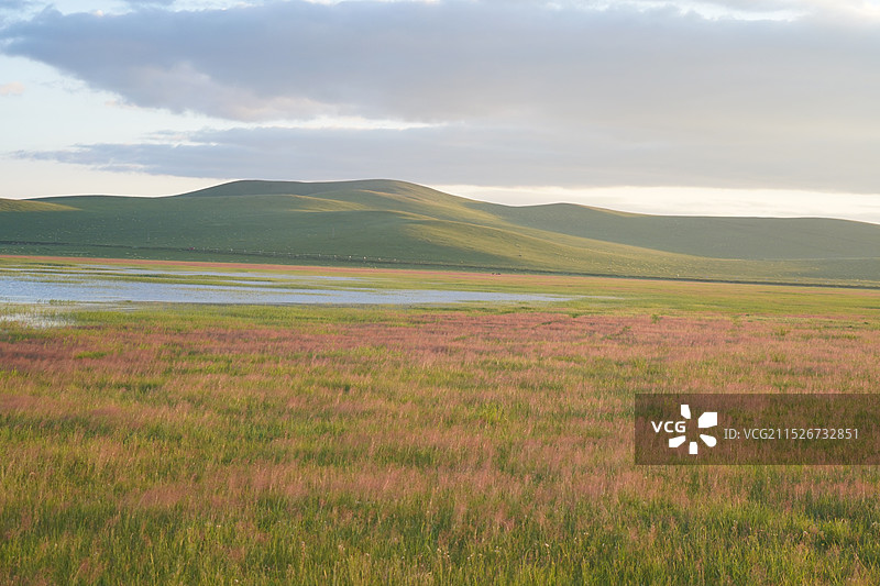 乌拉盖大草原，可汗山，乌拉盖湖，颜乞部落蒙古包图片素材