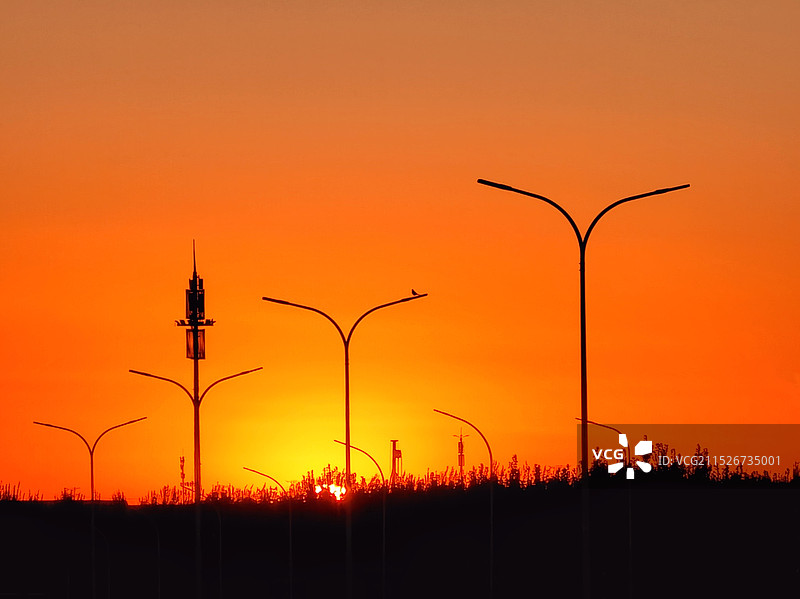 《橙色天空衬托出街灯的轮廓》图片素材