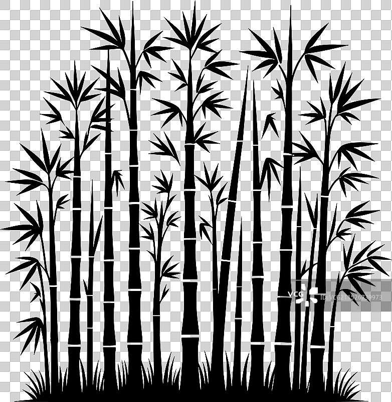 白色背景上的竹子植物剪影图片素材