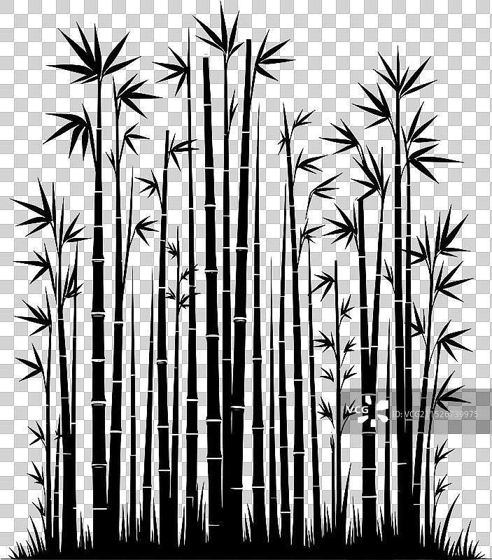 白色背景上的竹子植物剪影图片素材
