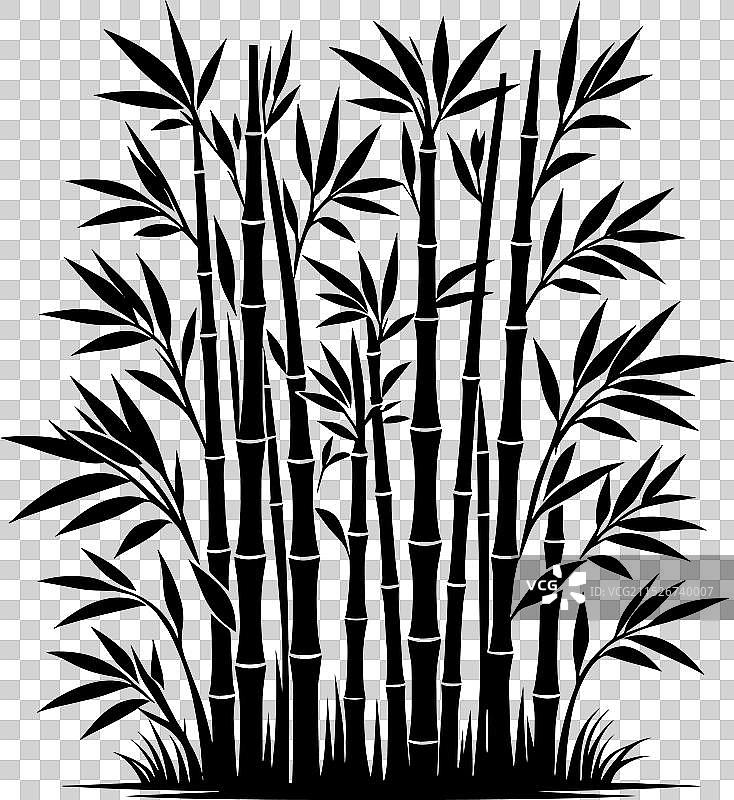 白色背景上的竹子植物剪影图片素材