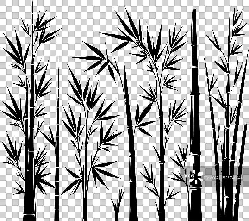 白色背景上的竹子植物剪影图片素材