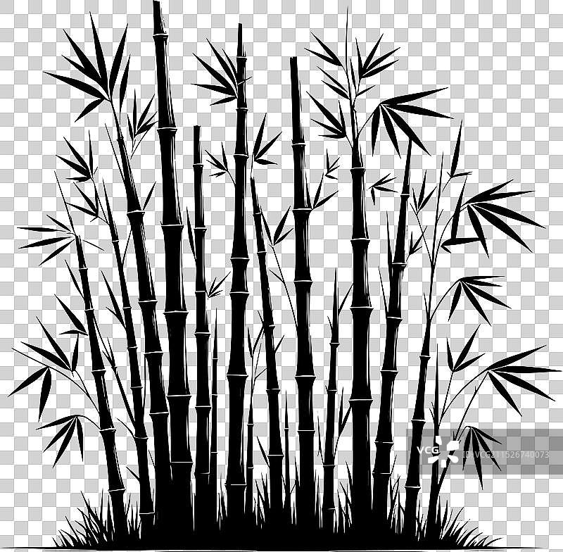 白色背景上的竹子植物剪影图片素材