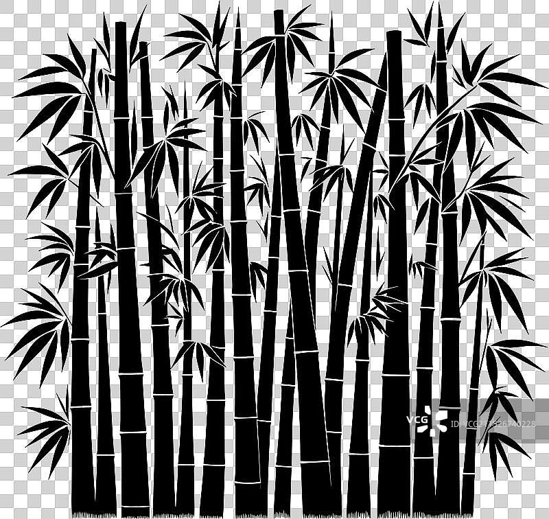 白色背景上的竹子植物剪影图片素材