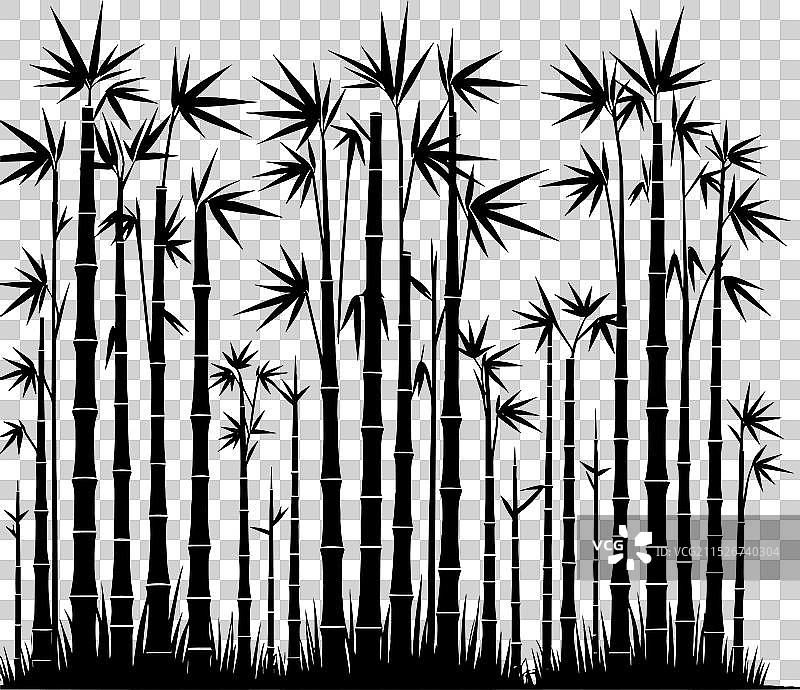 白色背景上的竹子植物剪影图片素材