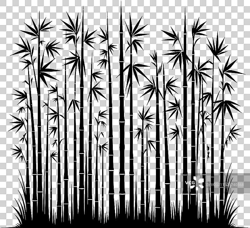 白色背景上的竹子植物剪影图片素材