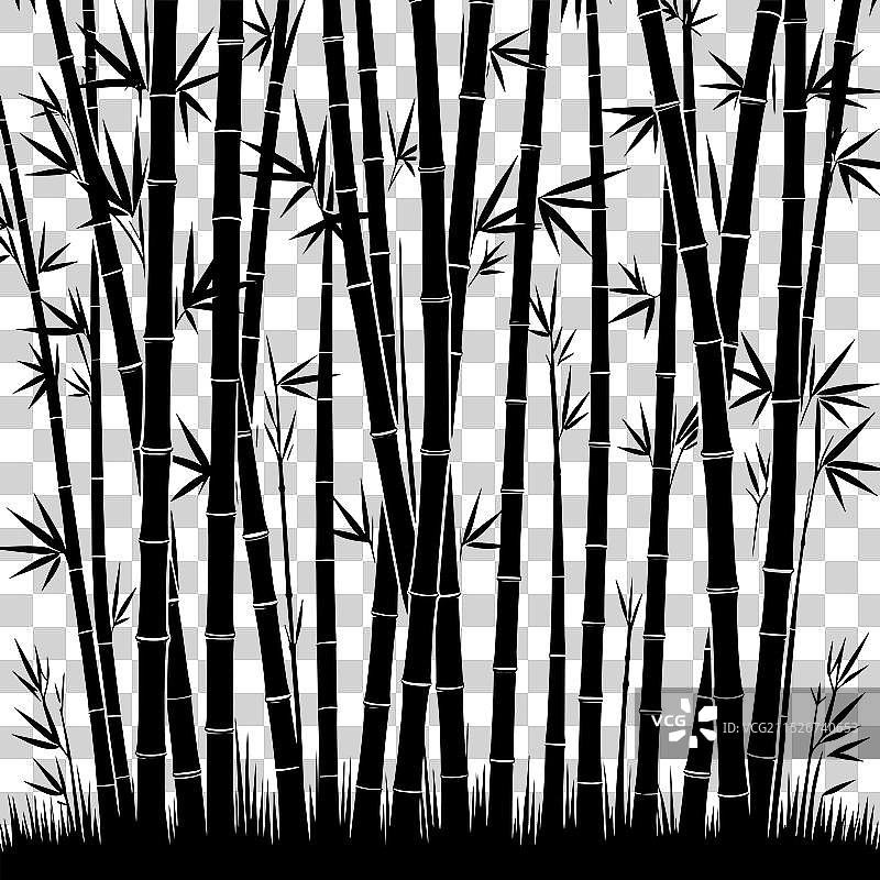白色背景上的竹子植物剪影图片素材