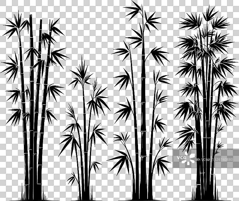 白色背景上的竹子植物剪影图片素材