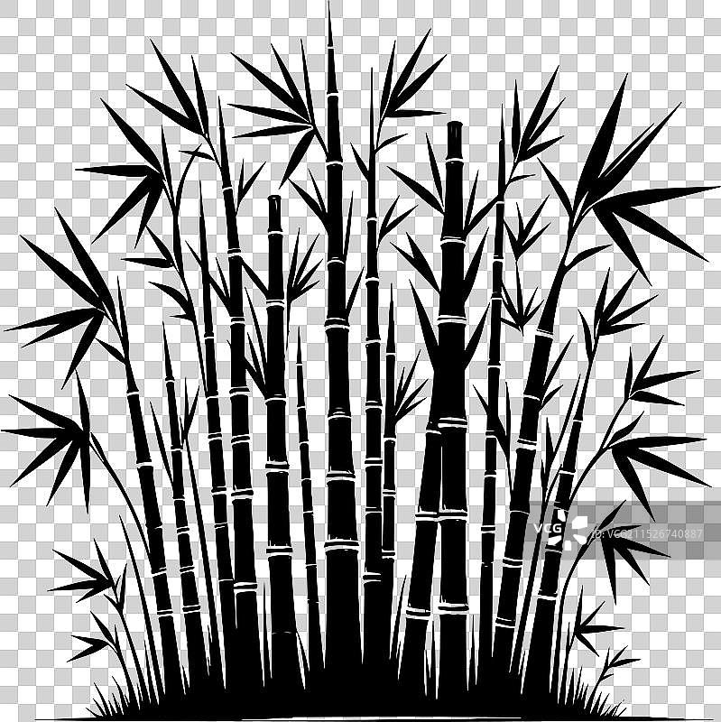 白色背景上的竹子植物剪影图片素材