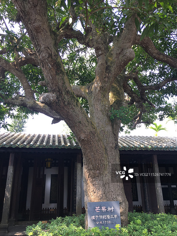 ：（资料图）图片素材