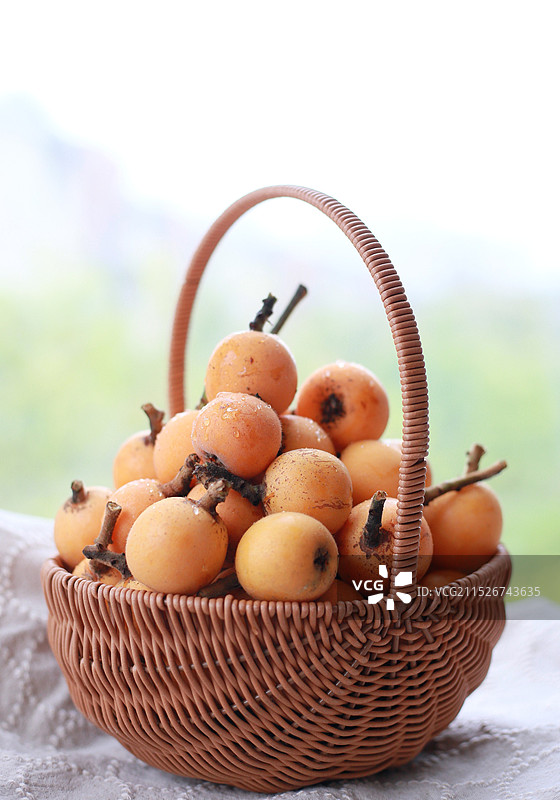 手枇杷熟了图片素材