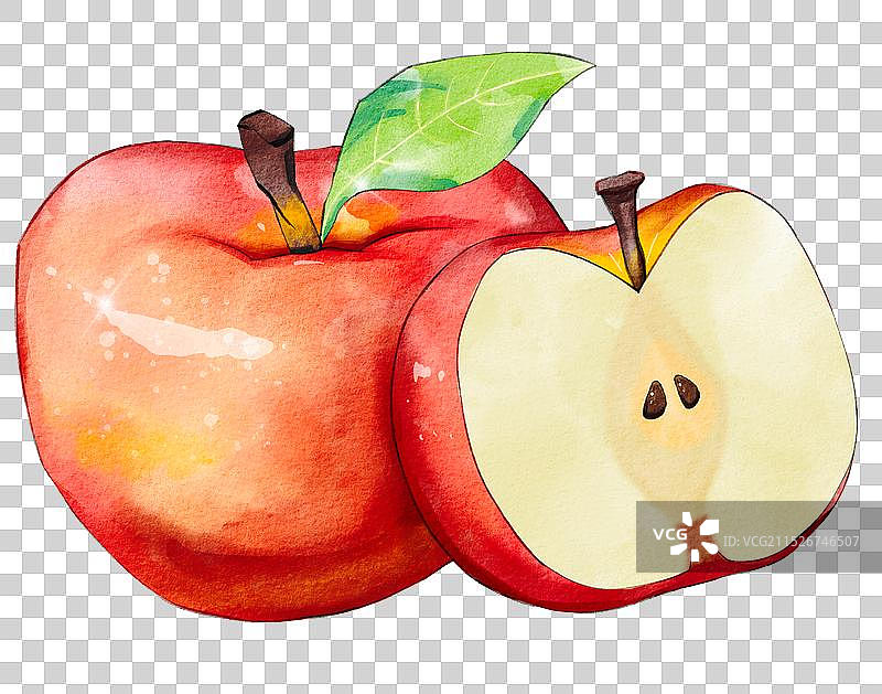 苹果插画元素图片素材