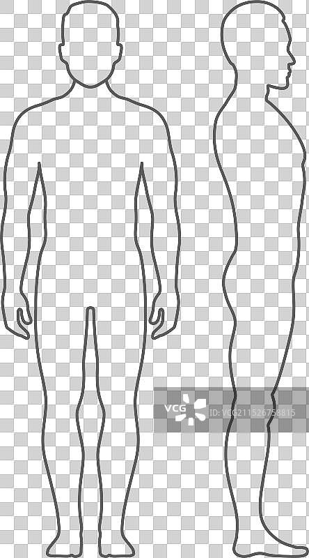 男性人形轮廓正面和侧面视图图片素材