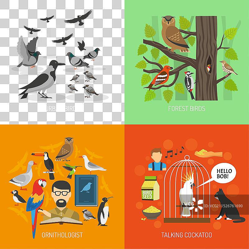 鸟类2x2图像概念图片素材