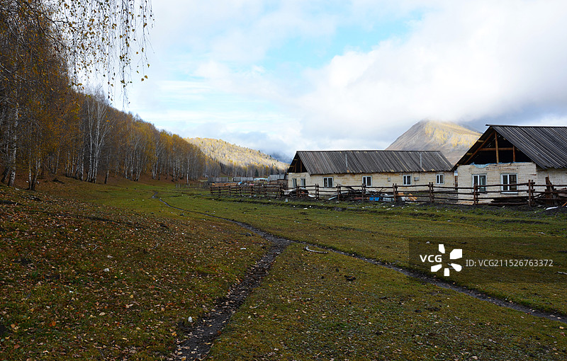 静谧 的禾木村图片素材