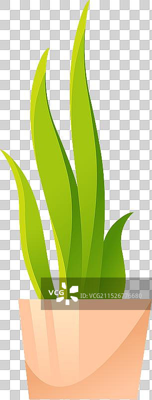 卡通盆栽芦荟图标图片素材