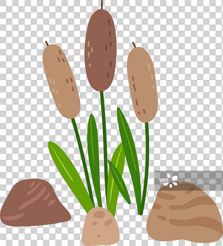 沼泽芦苇绿色湿地植物彩色图标图片素材