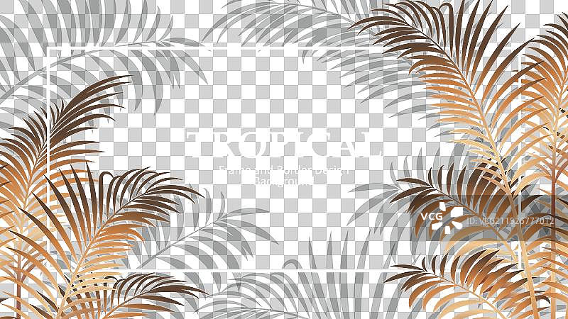 扁平风格营养师工作Instagram快拍图片素材