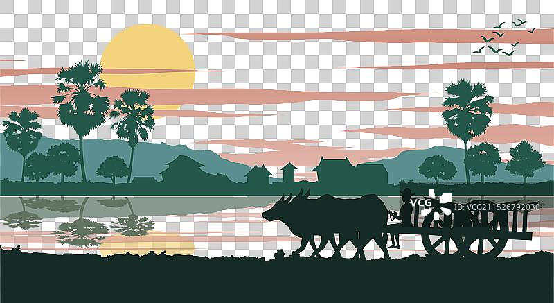 清晨东盟的牛车生活方式图片素材