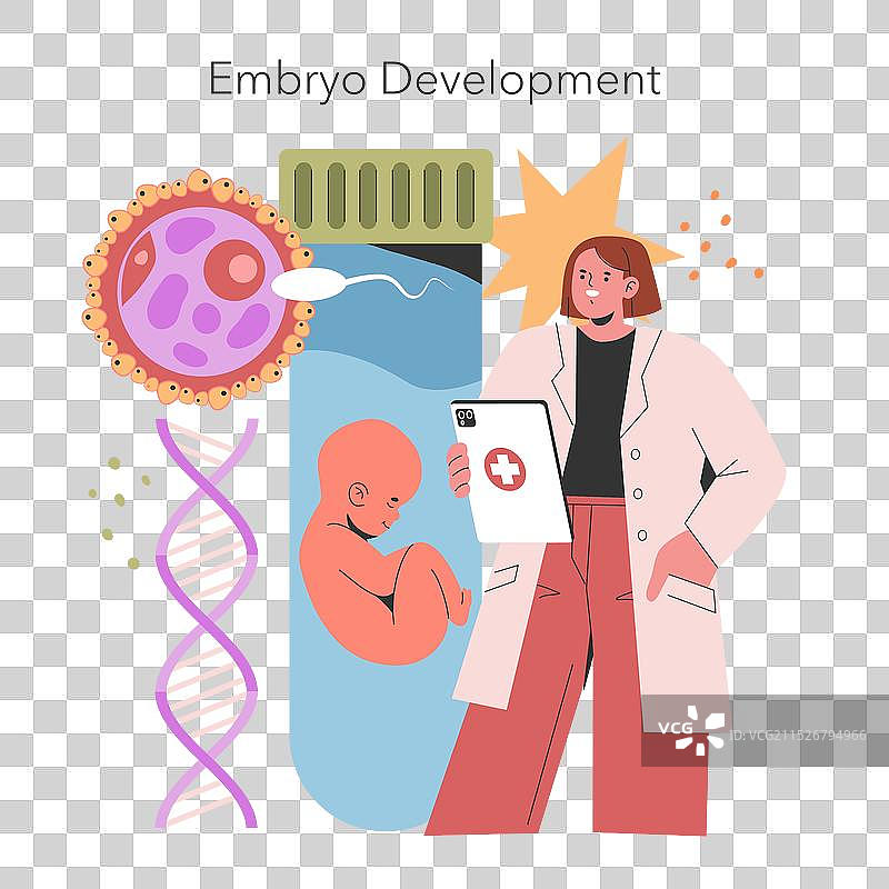 试管婴儿（扁平风格）图片素材