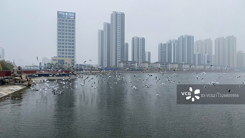 黄骅港贝壳湖图片素材