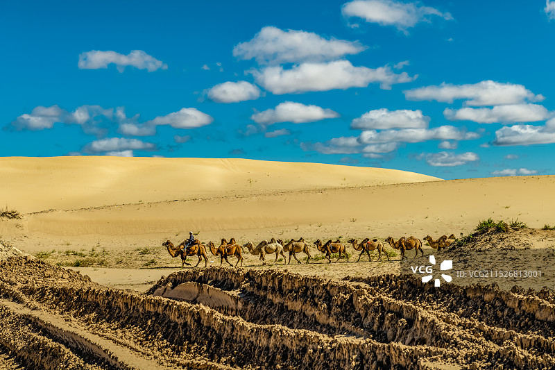 大漠驼队图片素材