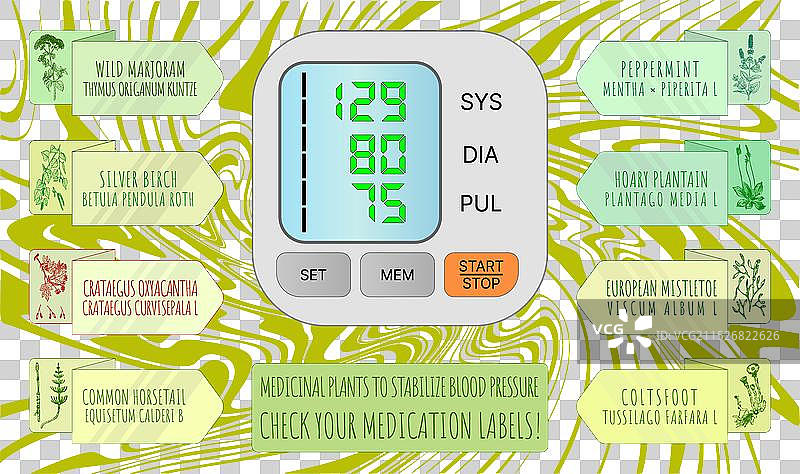 顶级手绘药用植物合集图片素材