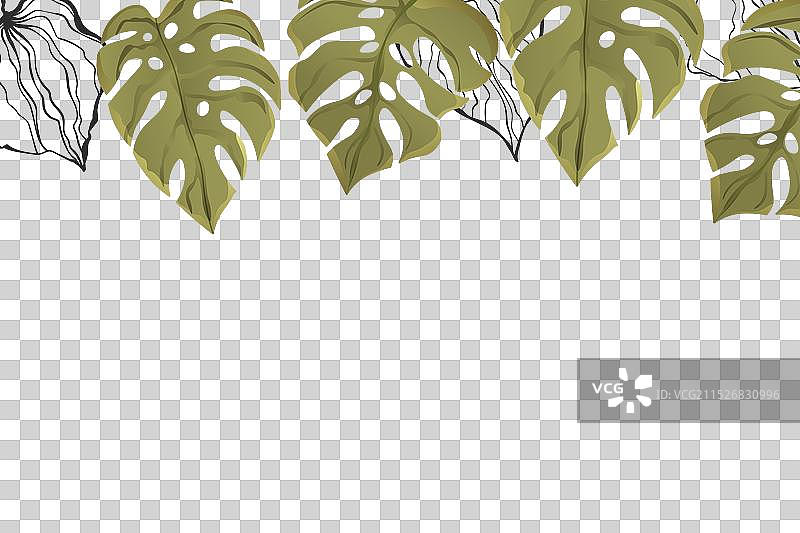 彩色异域树枝花卉边框图片素材