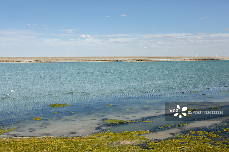 西台吉乃尔湖图片素材